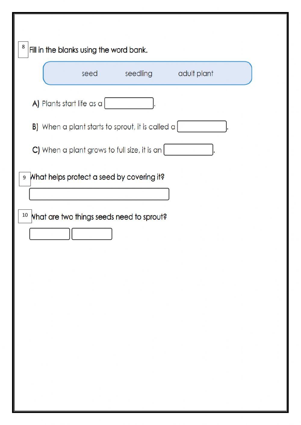Science End of Term 1 Revision Sheet