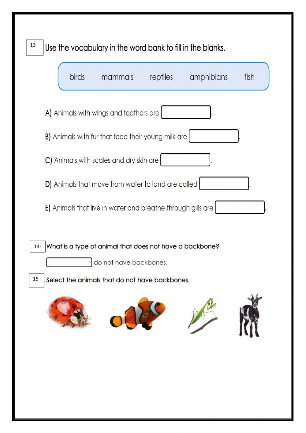 Science End of Term 1 Revision Sheet