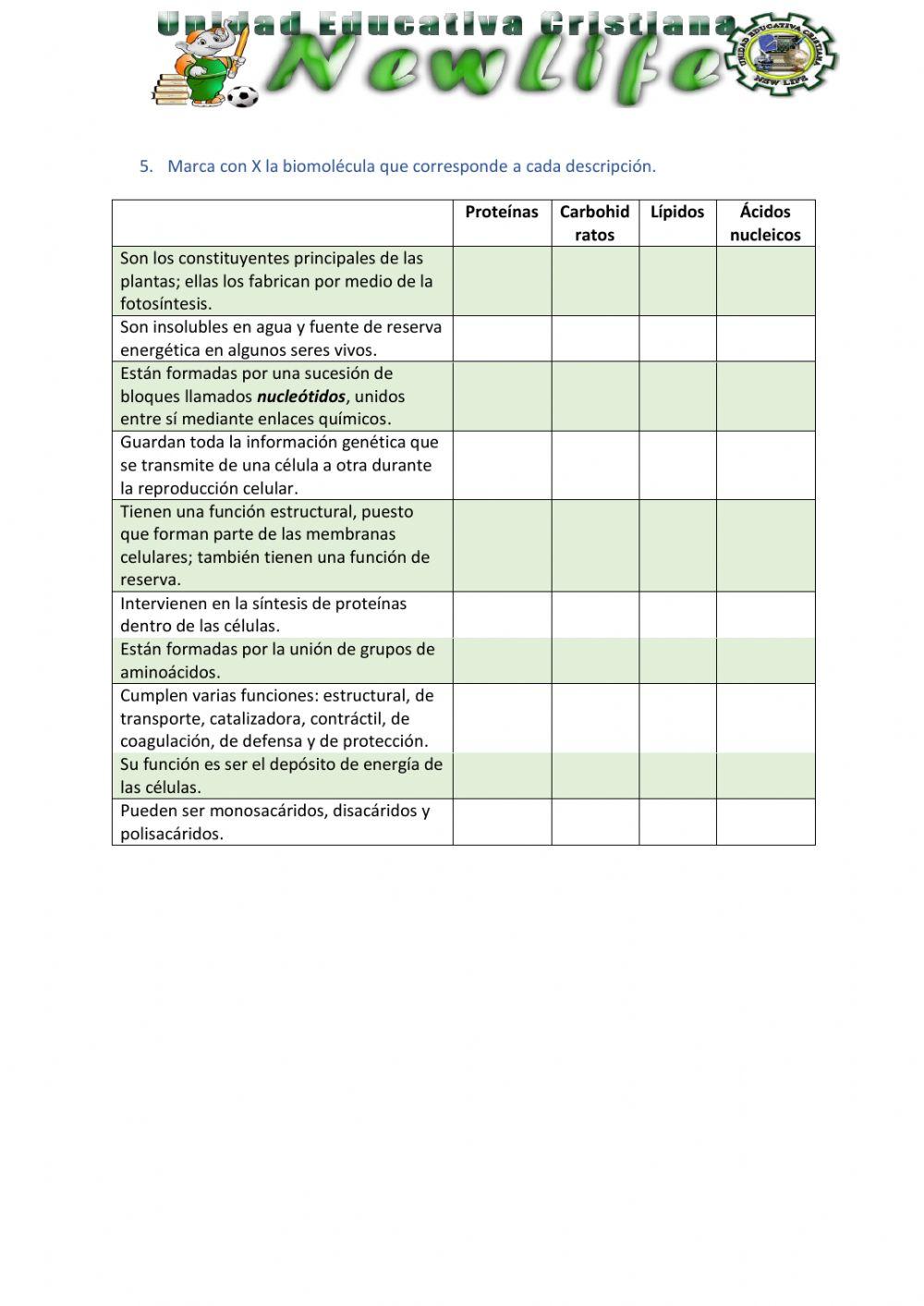 Actividad de evaluación - biomoléculas