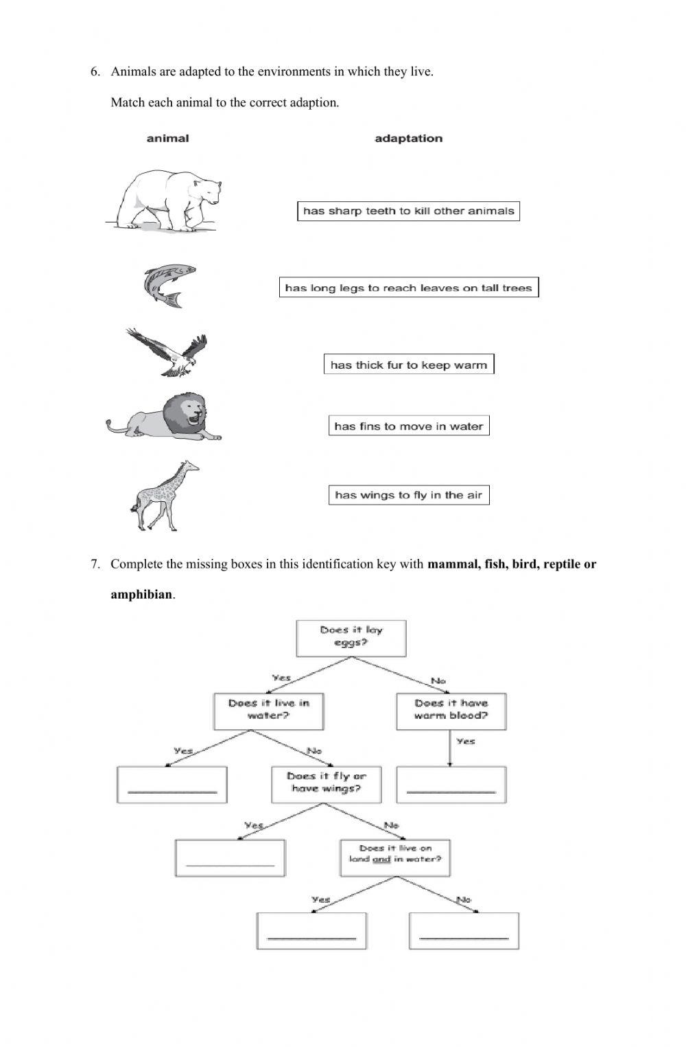 PAS Science 4 Grader 2020