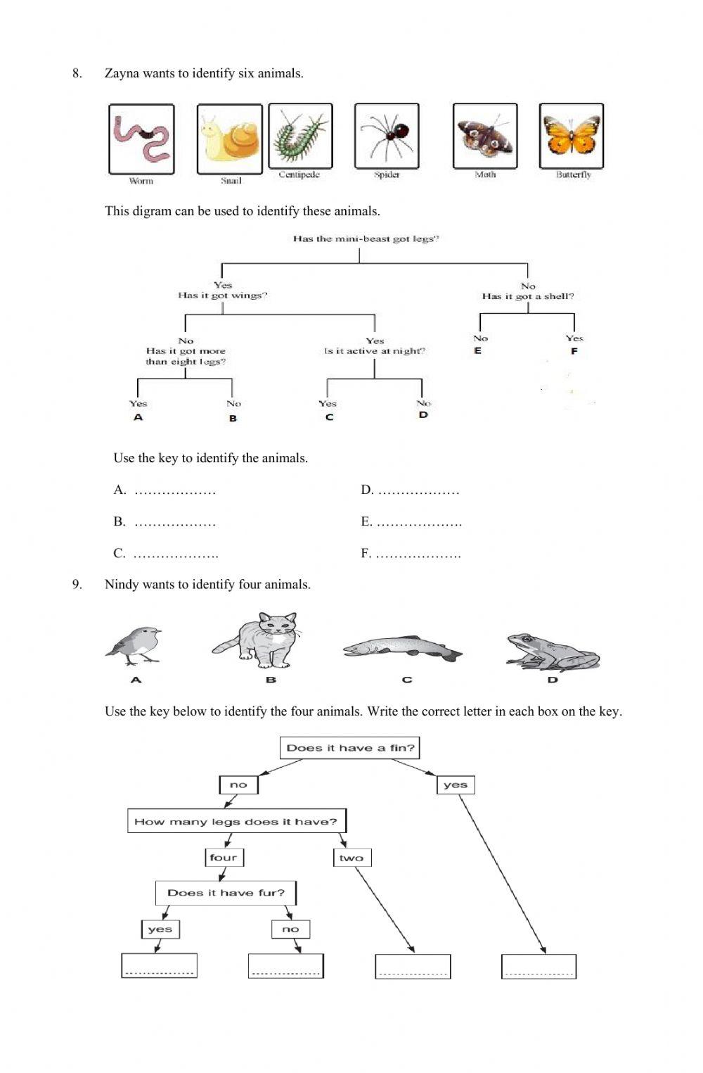 PAS Science 4 Grader 2020