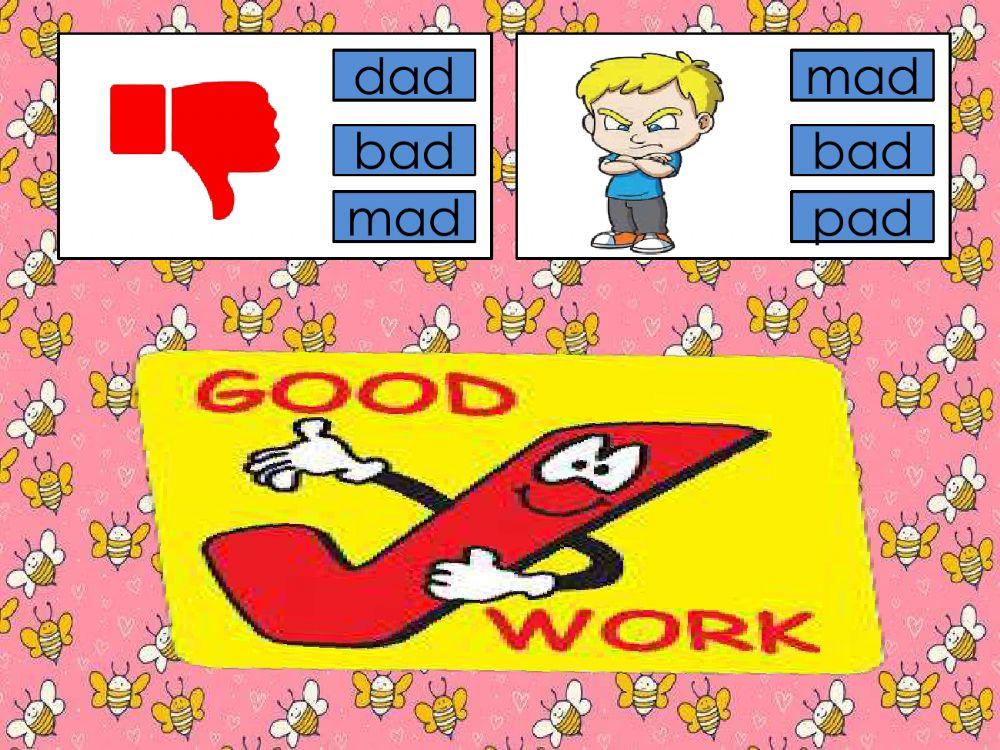 Review: CVC -ad- Family