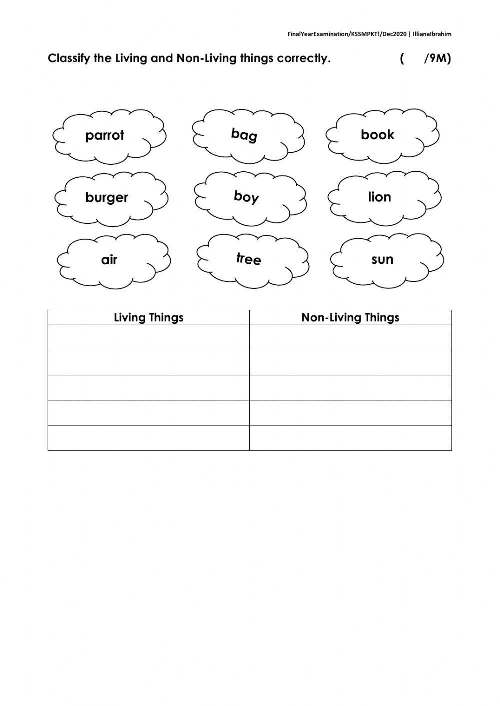 Living and non living things