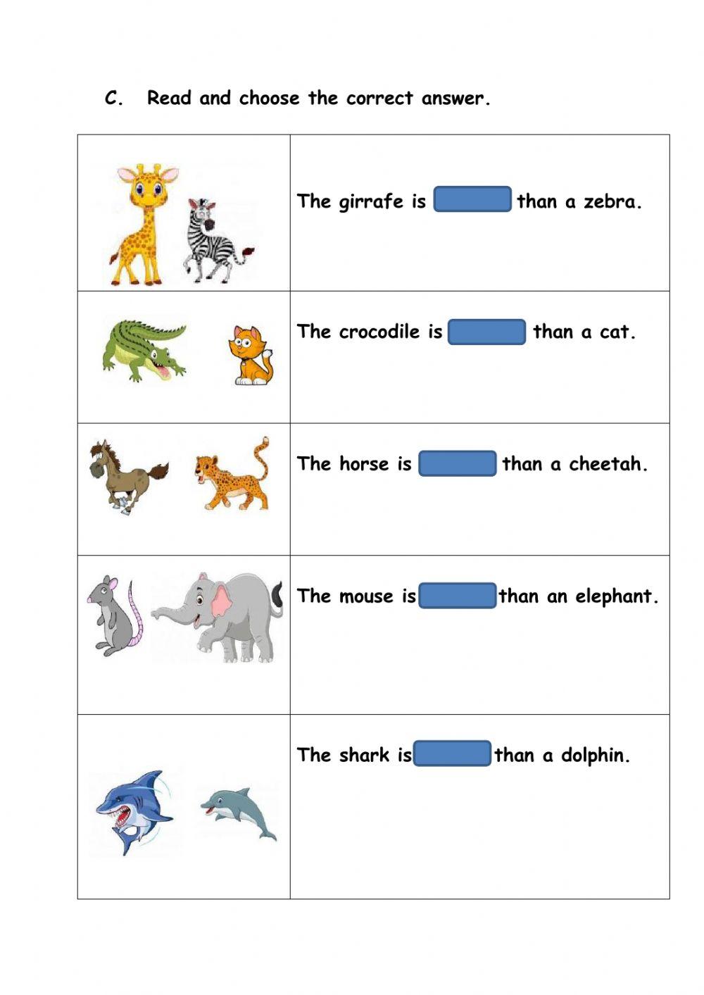 Comparative Adjectives