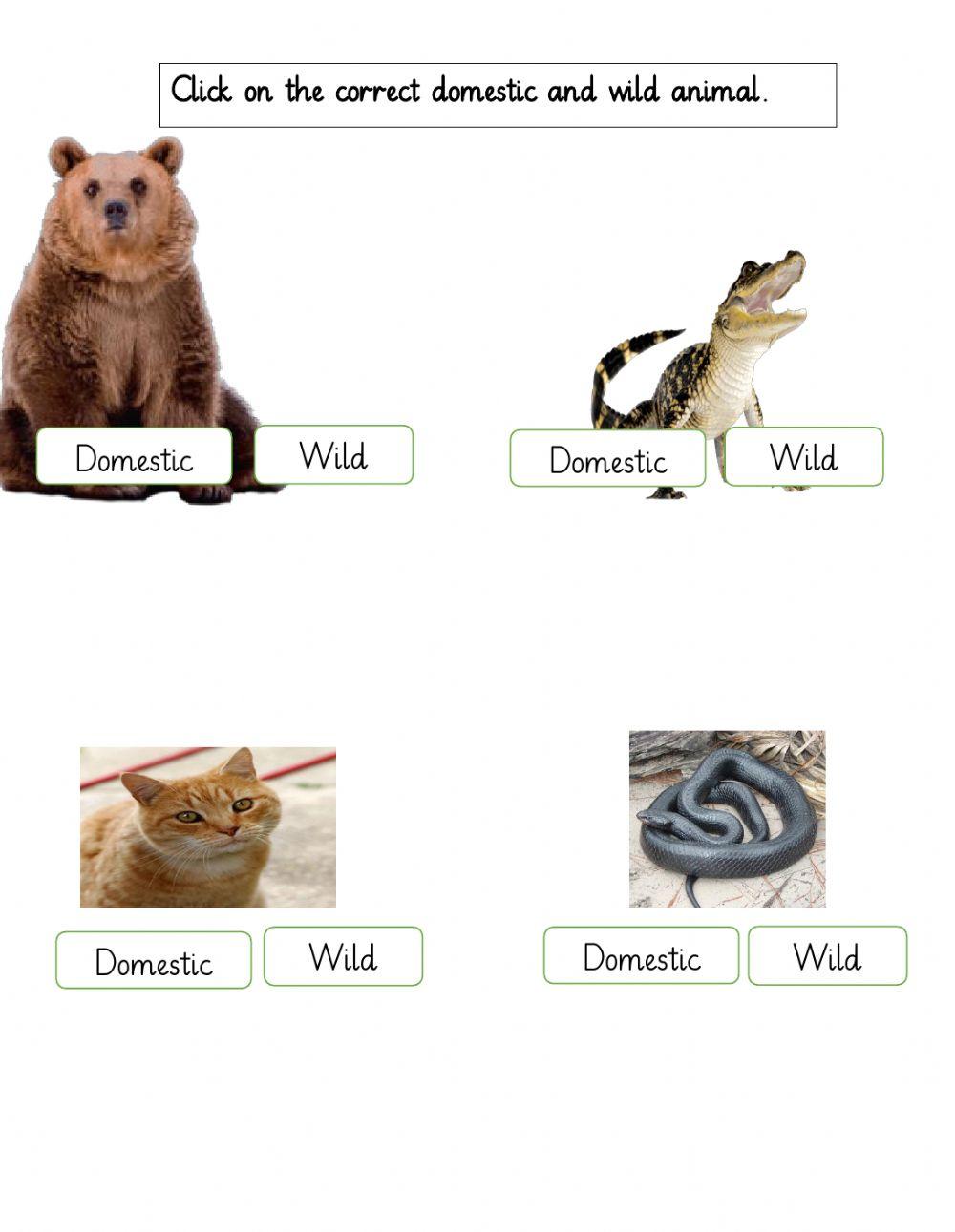 Select correct animal kind.