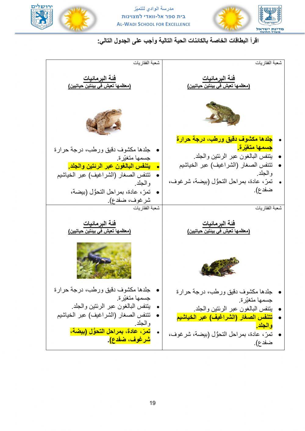 ورقة عمل التصنيف للكائنات مع البطاقات