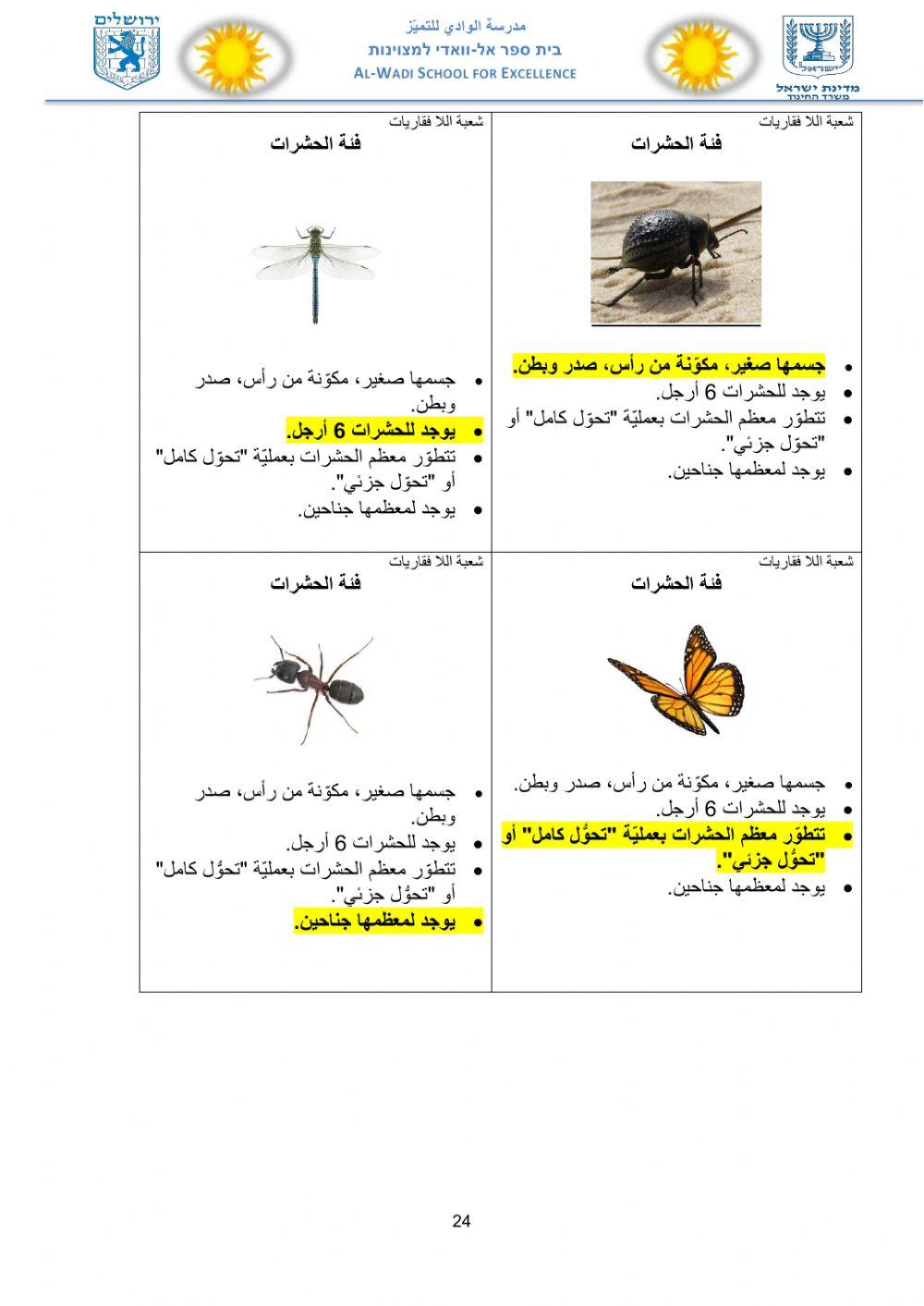 ورقة عمل التصنيف للكائنات مع البطاقات