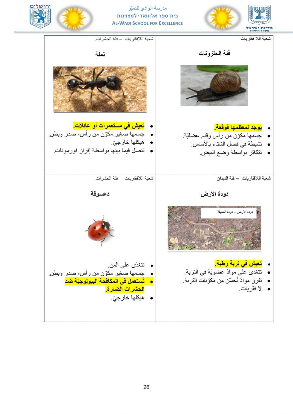 ورقة عمل التصنيف للكائنات مع البطاقات