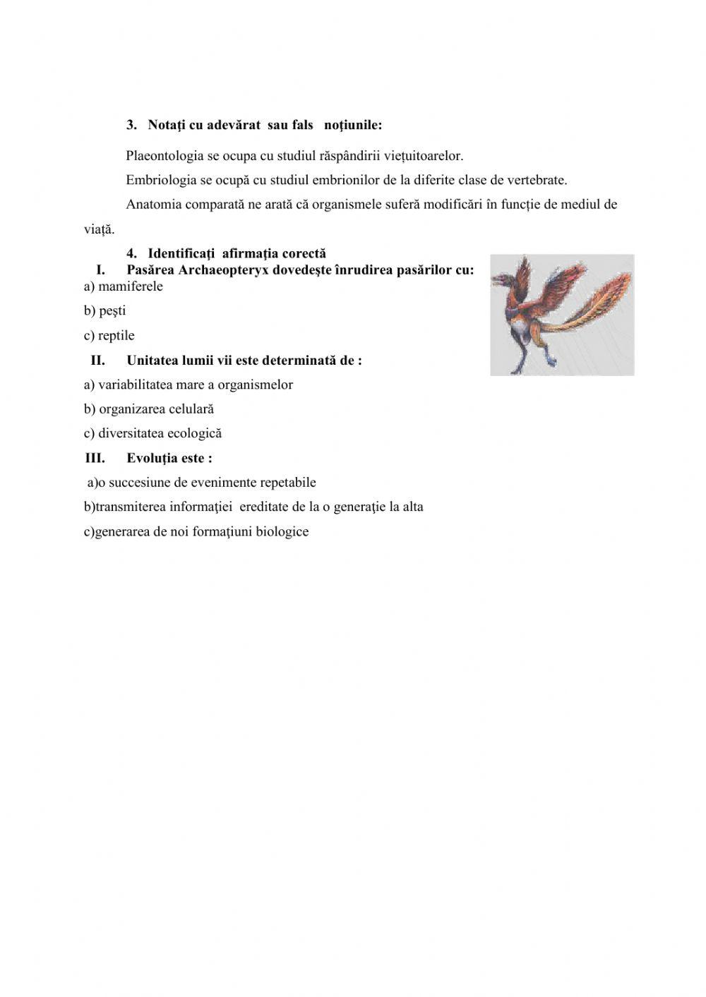 Dovezi ale evolutiei