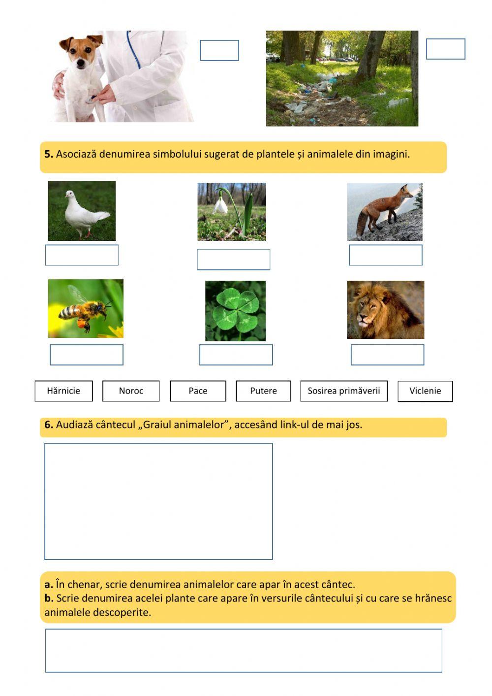 Evaluare sumativă – Raporturile noastre cu plantele şi animalele Evaluare sumativă – Raporturile noastre cu plantele şi animalele