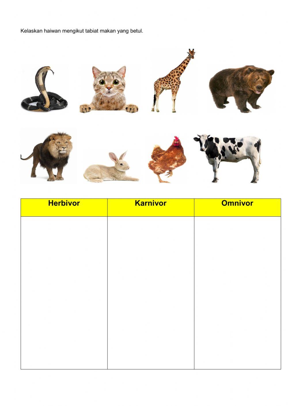 Sains tahun 3 (Haiwan) Kelas cikgu Zaidani