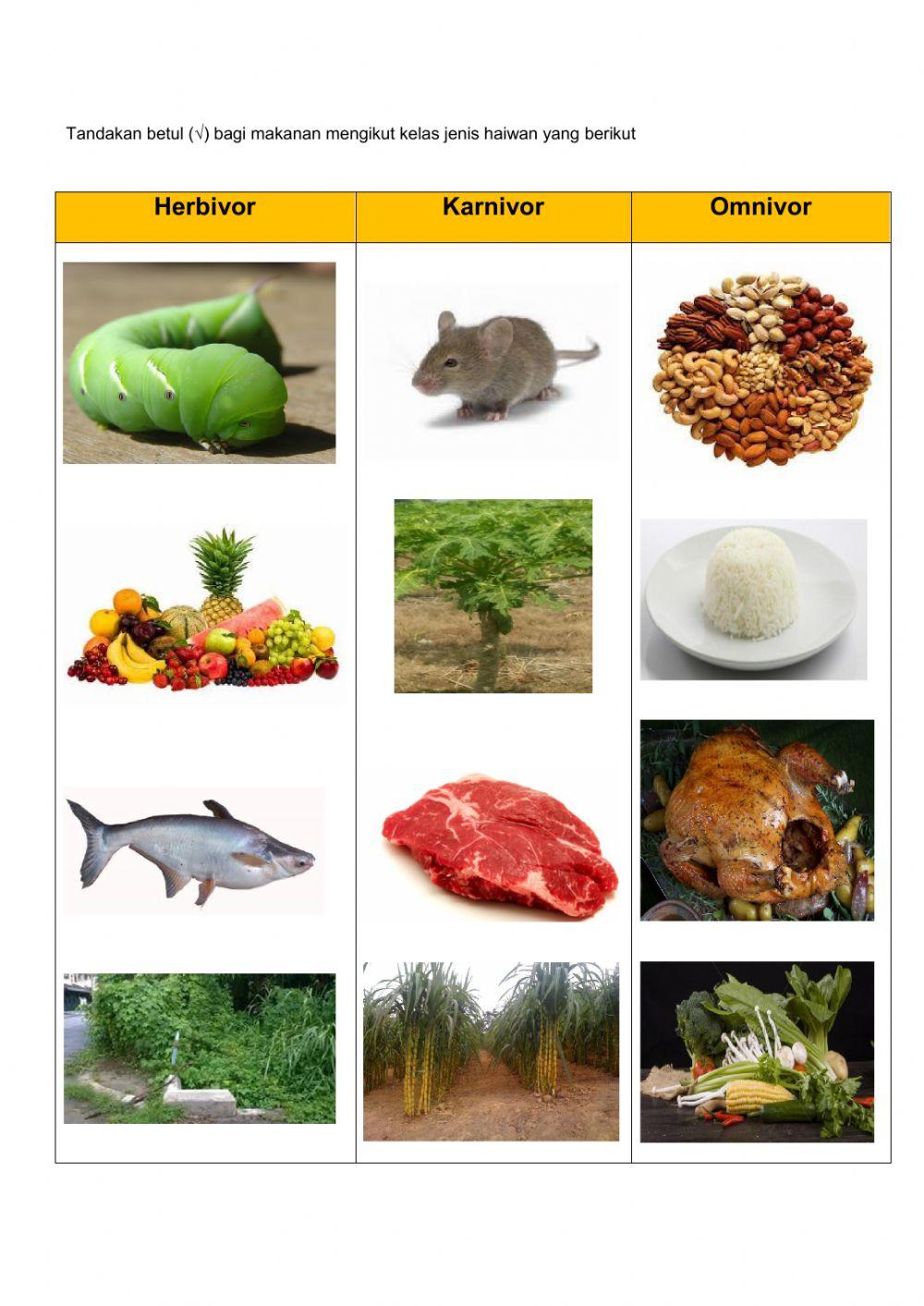 Sains tahun 3 (Haiwan) Kelas cikgu Zaidani