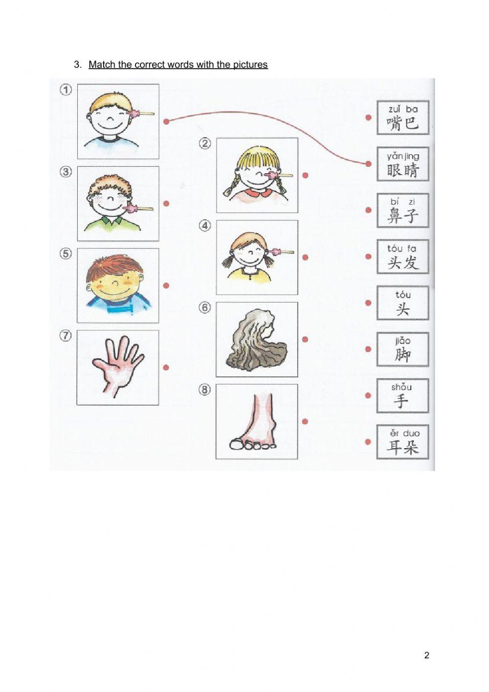 Lesson 12(body parts)