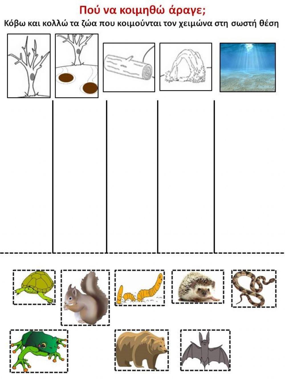 Χειμερία νάρκη