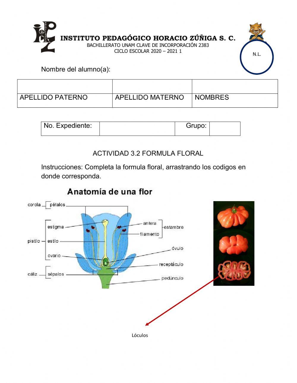 Formula Floral Worksheet Live Worksheets formula-floral-worksheet-live-worksheets