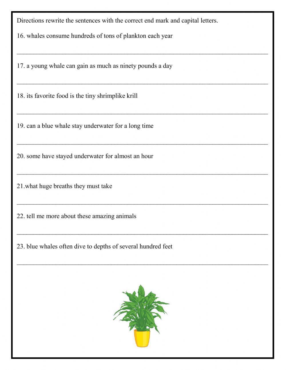 Four Kinds of sentences