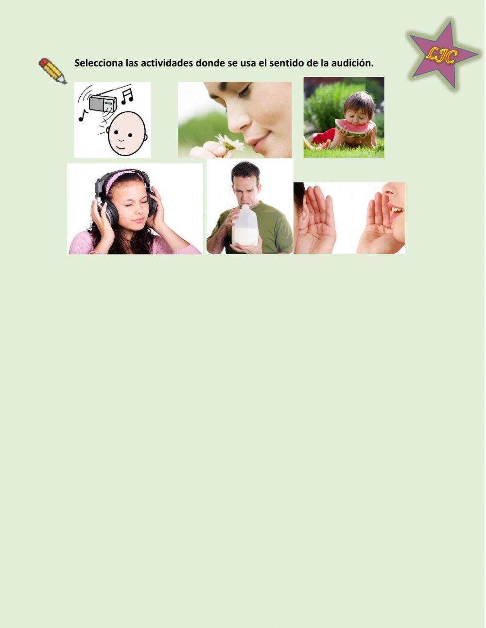 Sentido de la audición