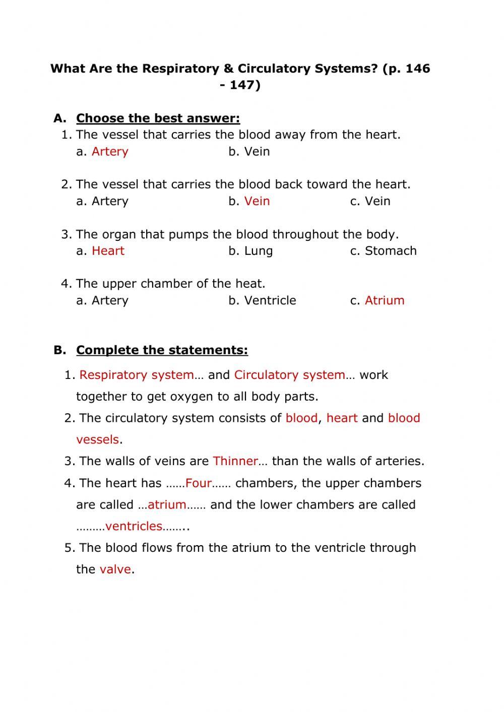 Circulatory system