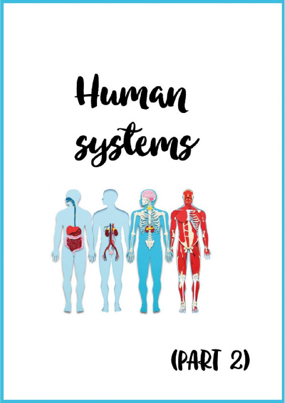 Human systems part 2