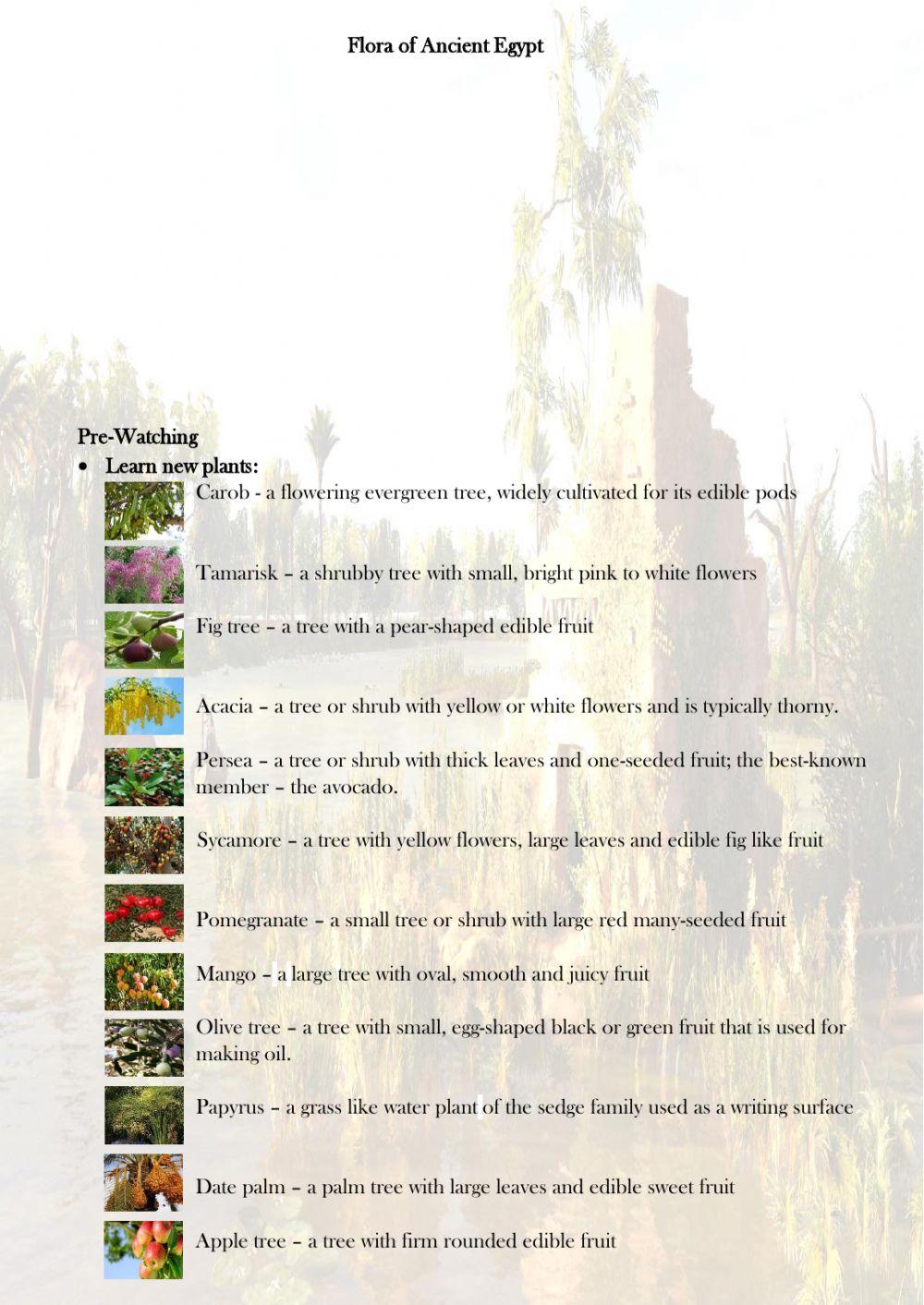 Flora of Ancient Egypt