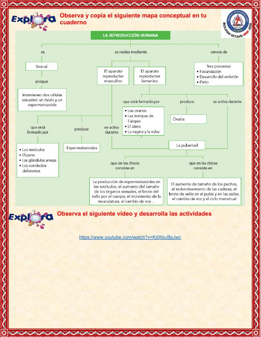 Consulta de reproducción | Hospital Universitario La Paz, image size:1000x1291