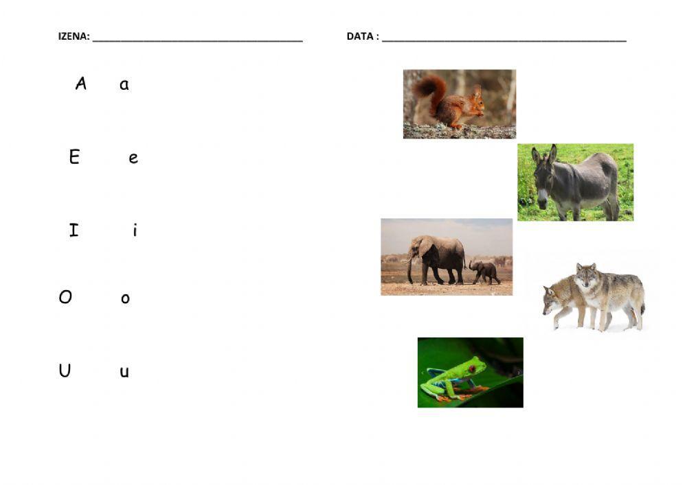 LOTU BOKALAK IRUDIEKIN