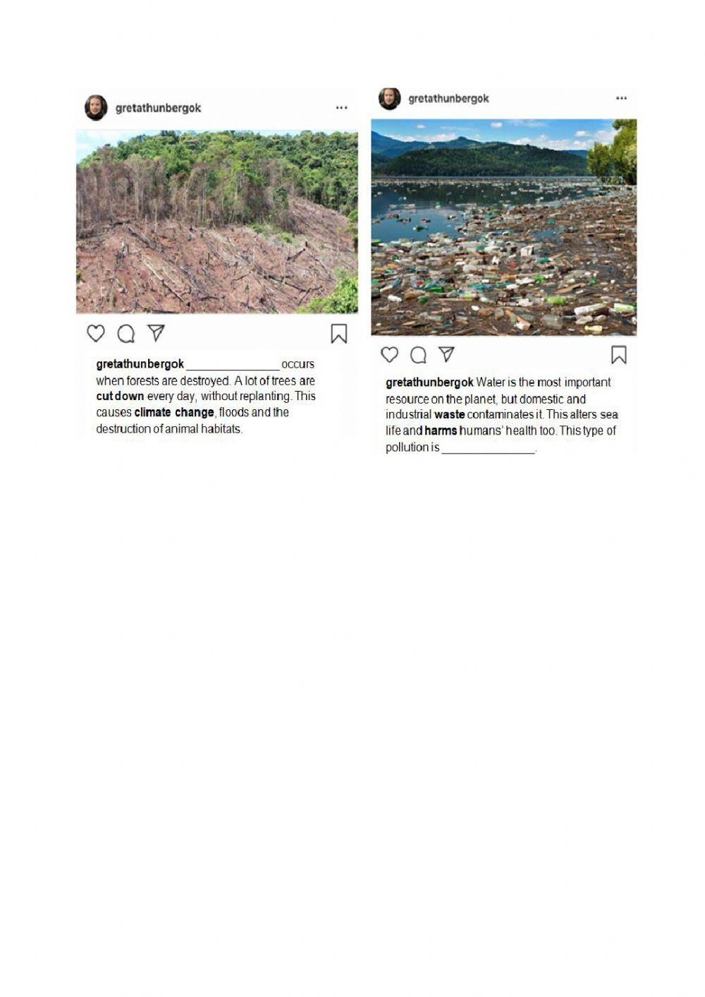 Reading: Environmental problems