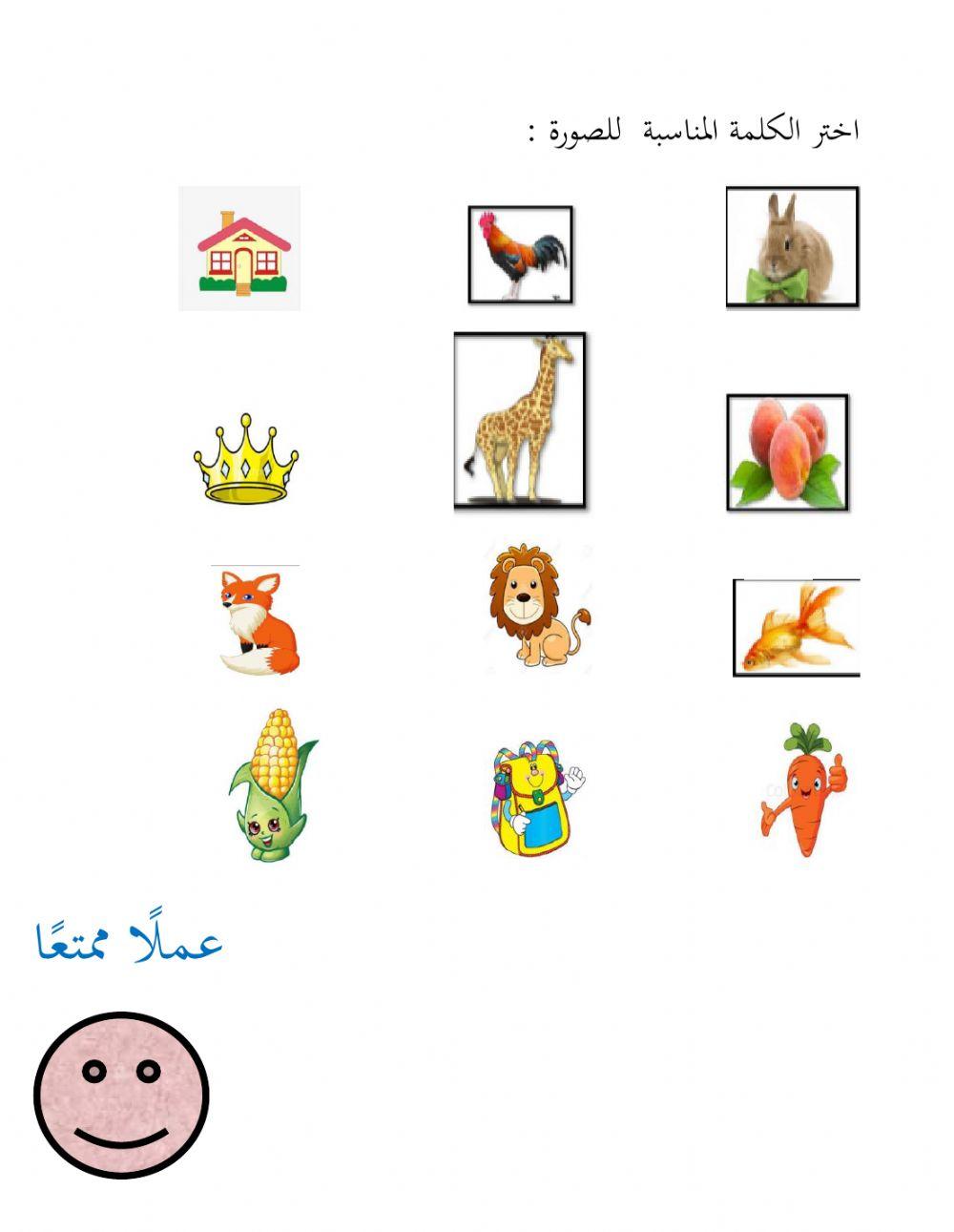 مراجعات باللغة  العربية