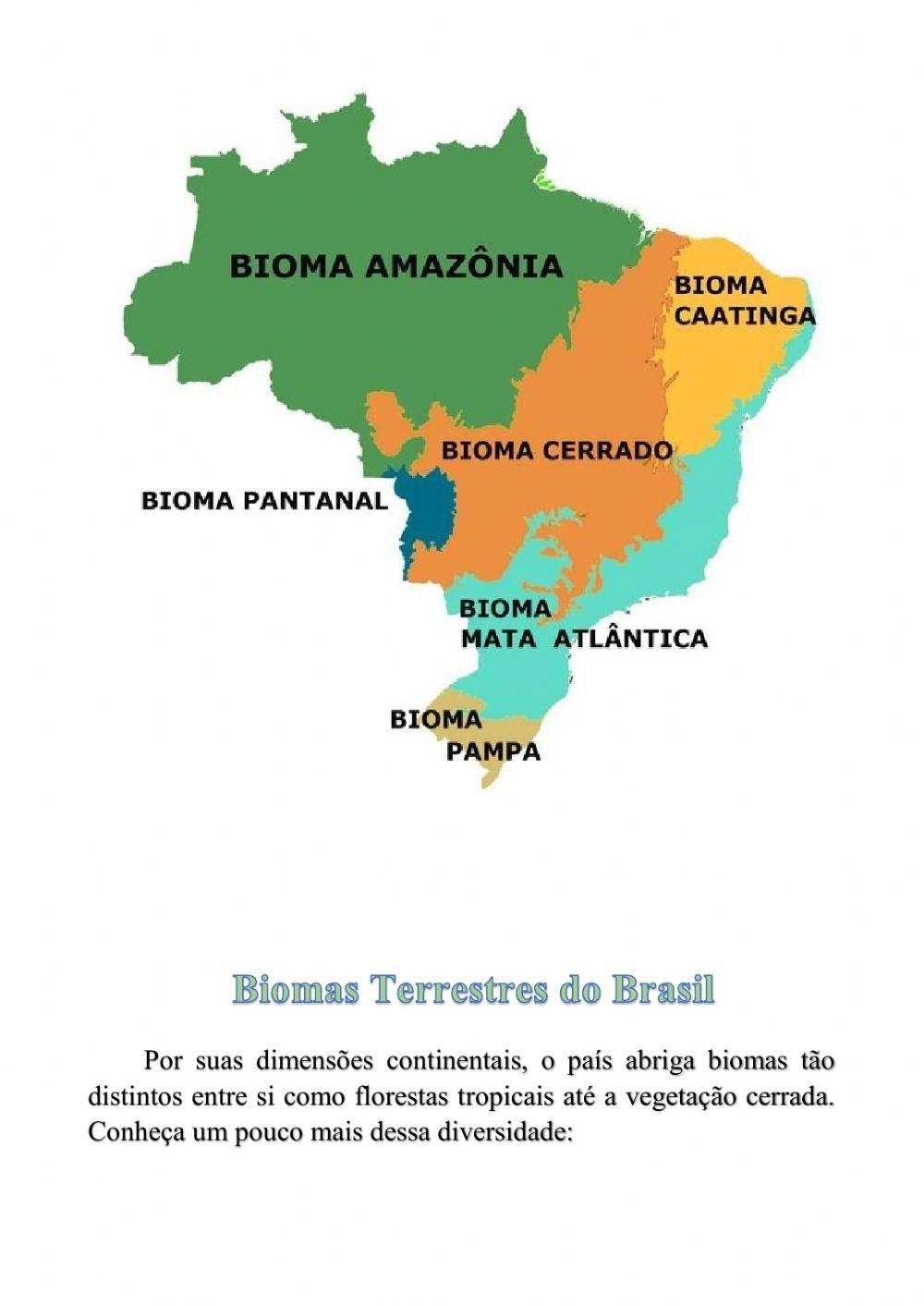 Como é a natureza do Brasil