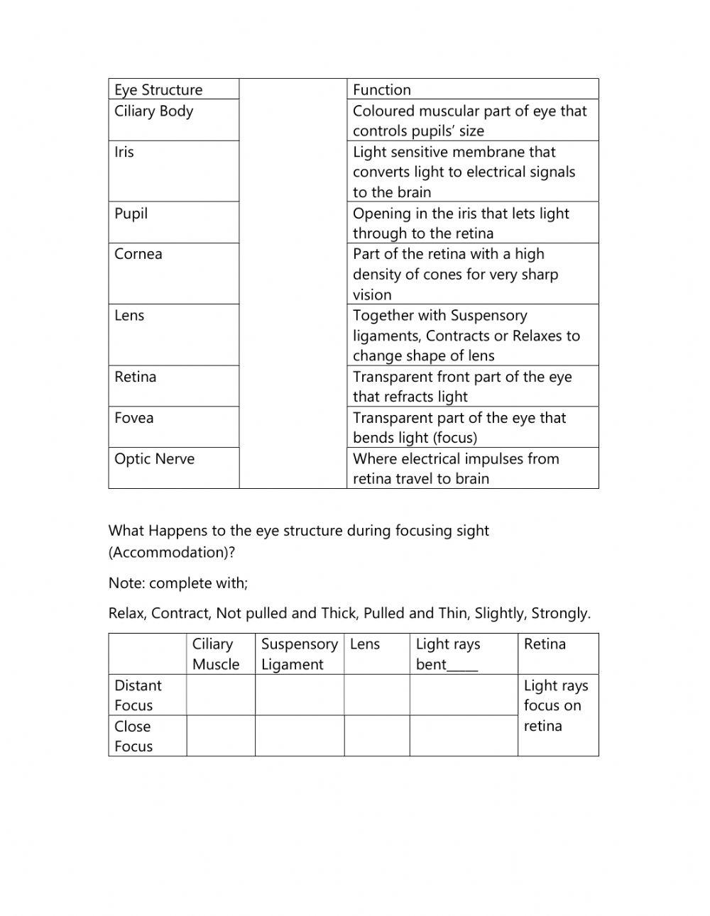 Eye part Function and Accomodation