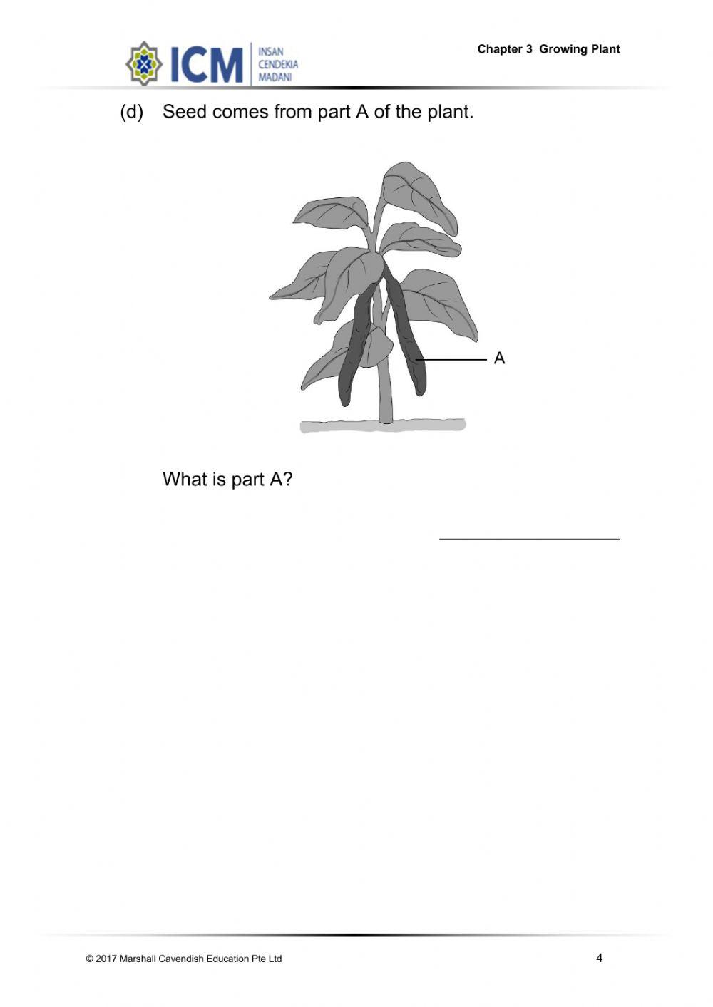 Unit 3 : Growing Plant