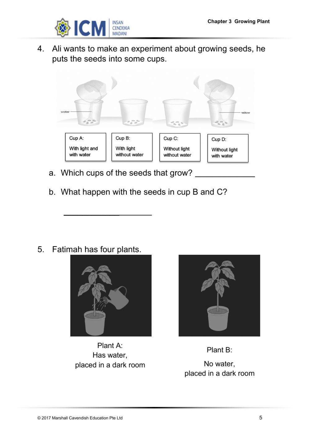 Unit 3 : Growing Plant