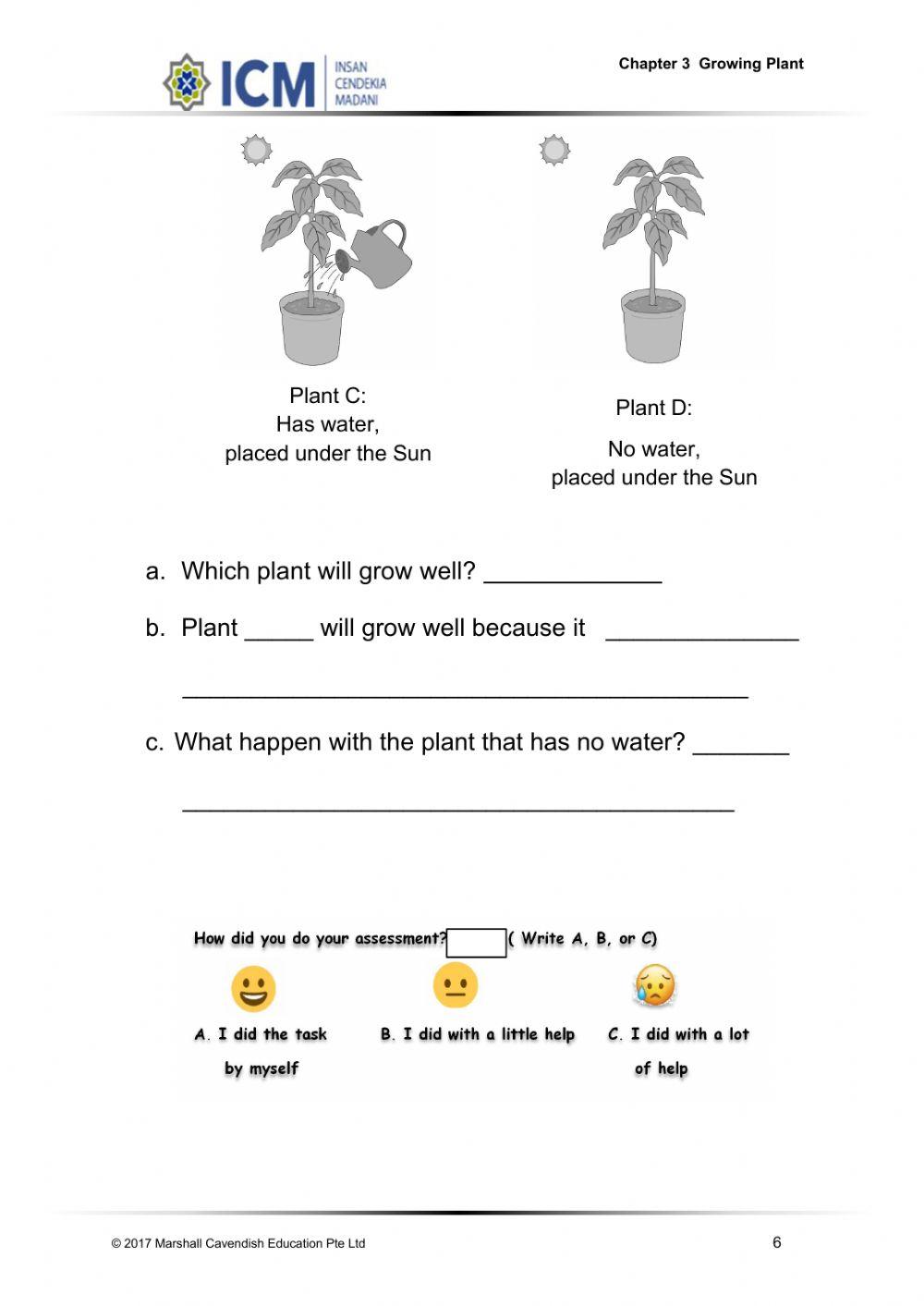 Unit 3 : Growing Plant