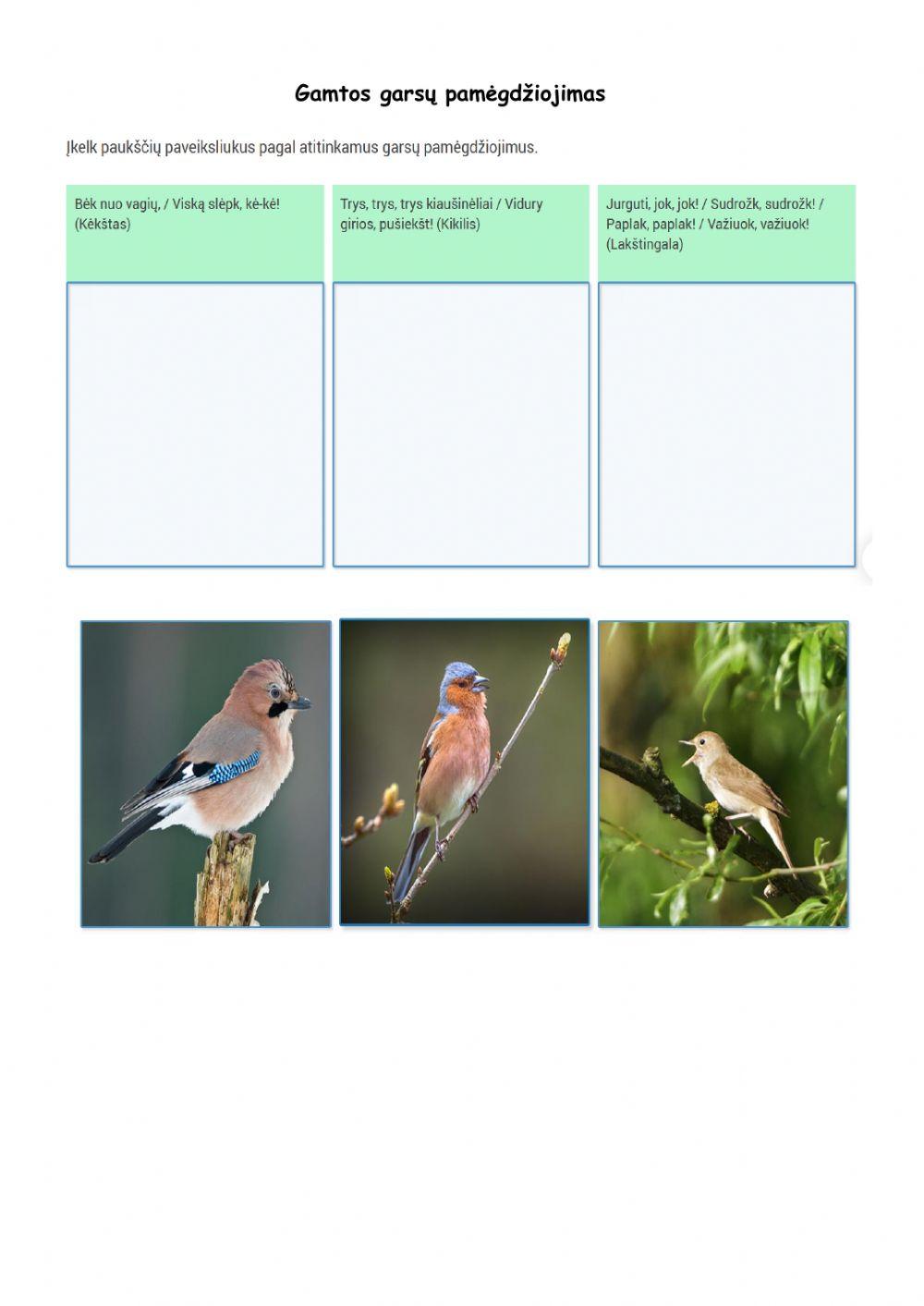 Gamtos garsų pamėgdžiojimas