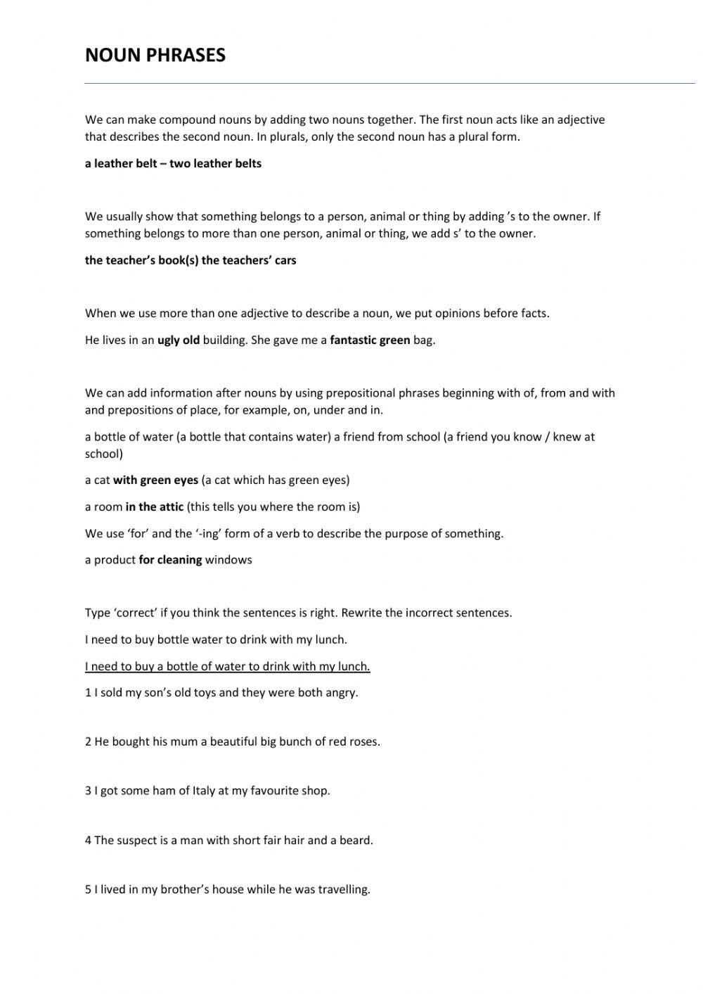 Noun Phrases Worksheets Printable