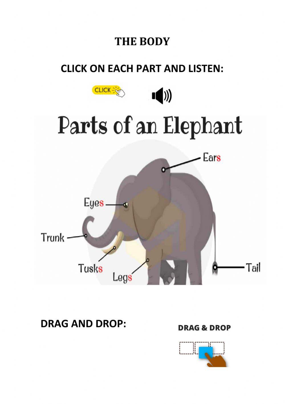 Parts of the elephant