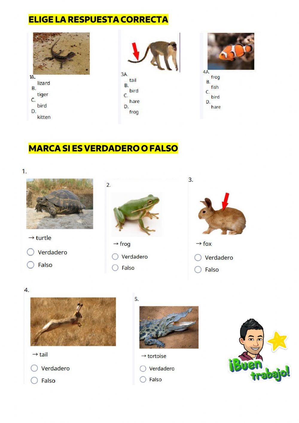Vocabulario unit 2
