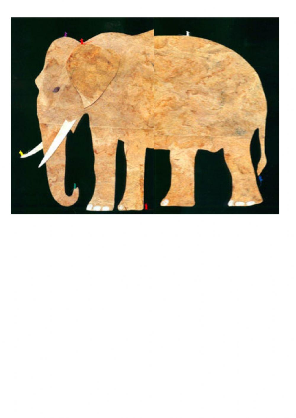 Seven blind mice puzzle