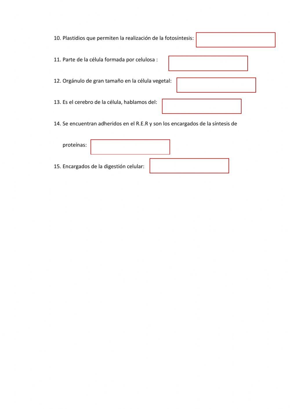 Orgánulos citoplasmáticos
