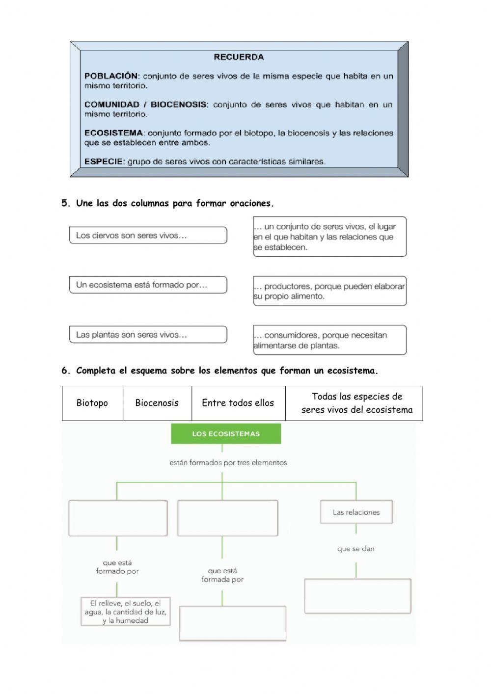 Repaso Los Ecosistemas