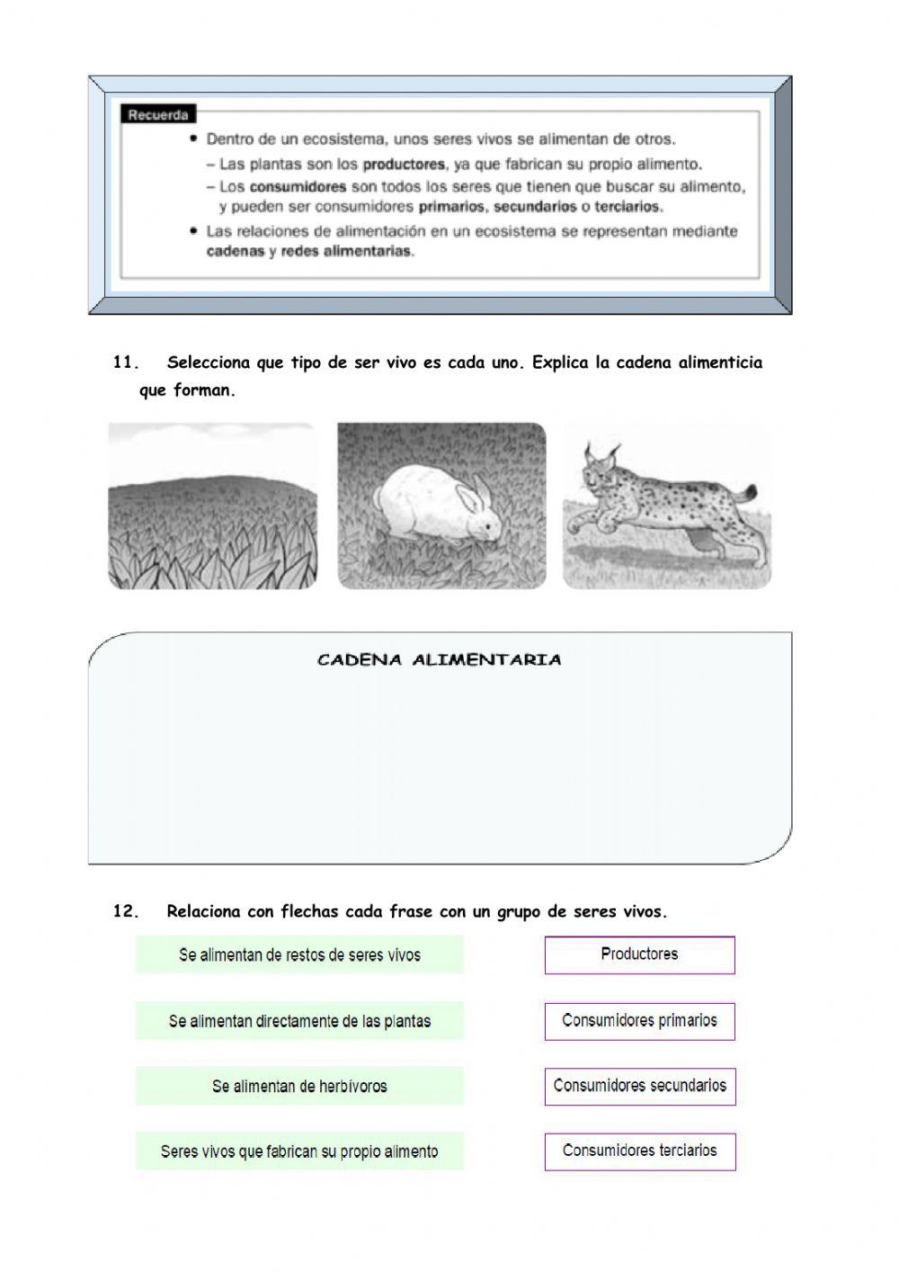 Repaso Los Ecosistemas