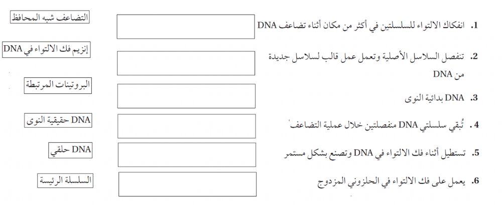 تضاعف dna
