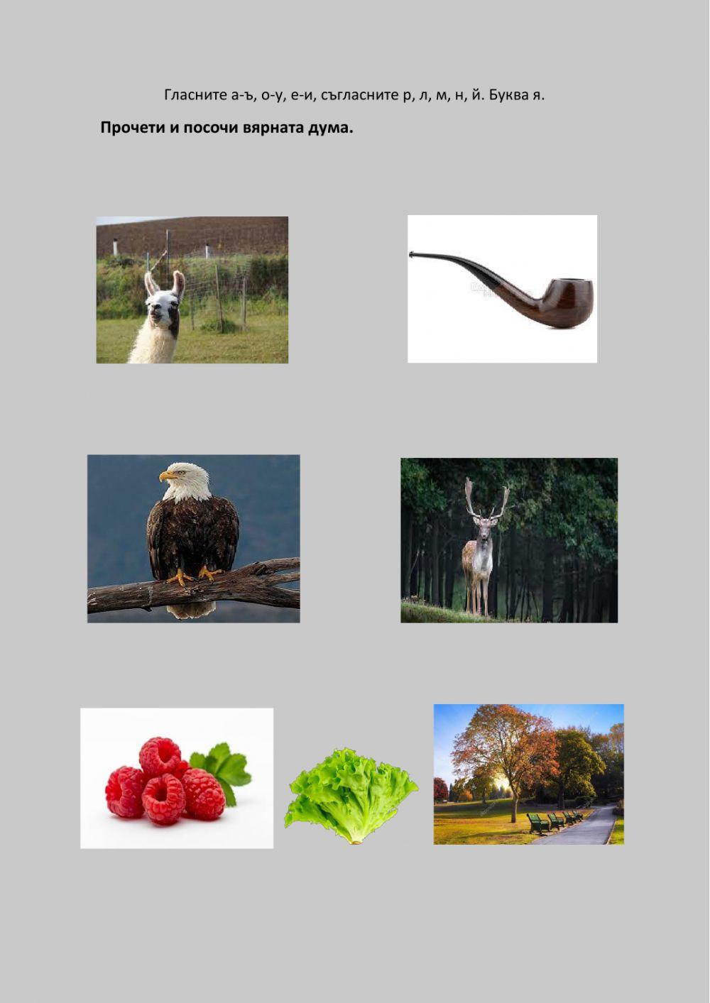 Обобщение. От А до Я.