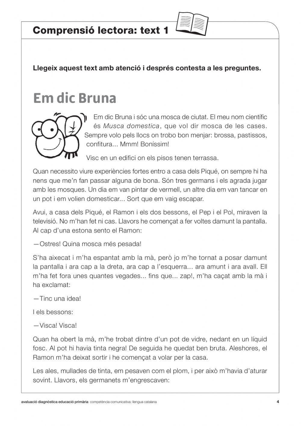 Comprensió lectora Diagnòstica