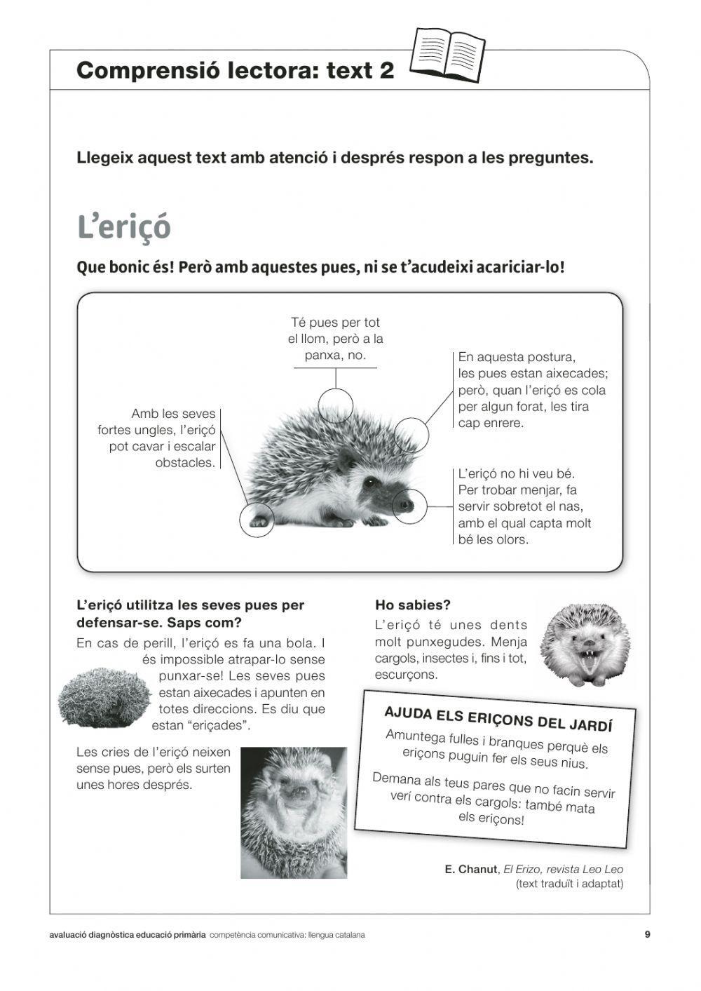 Comprensió lectora Diagnòstica