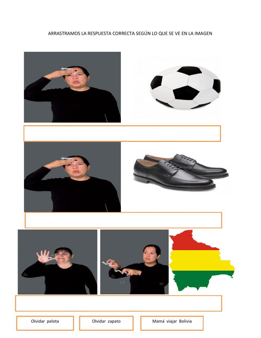 Verbo olvidar - viajar