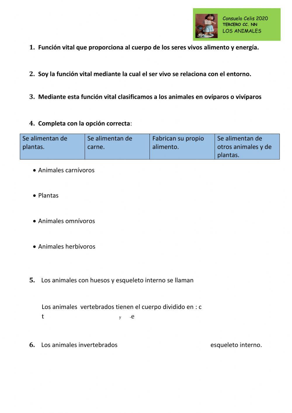 Los animales invertebrados