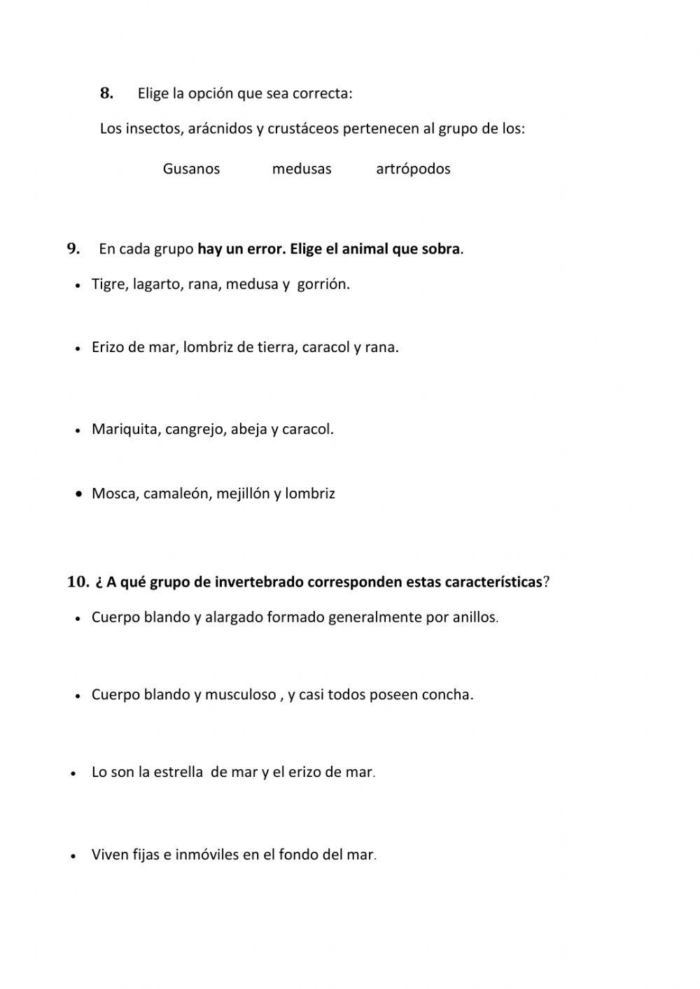 Los animales invertebrados