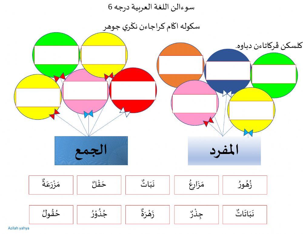 المفرد والجمع