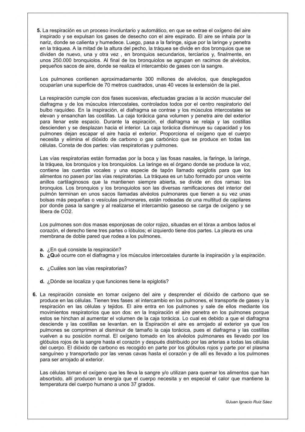 Aparato respiratorio